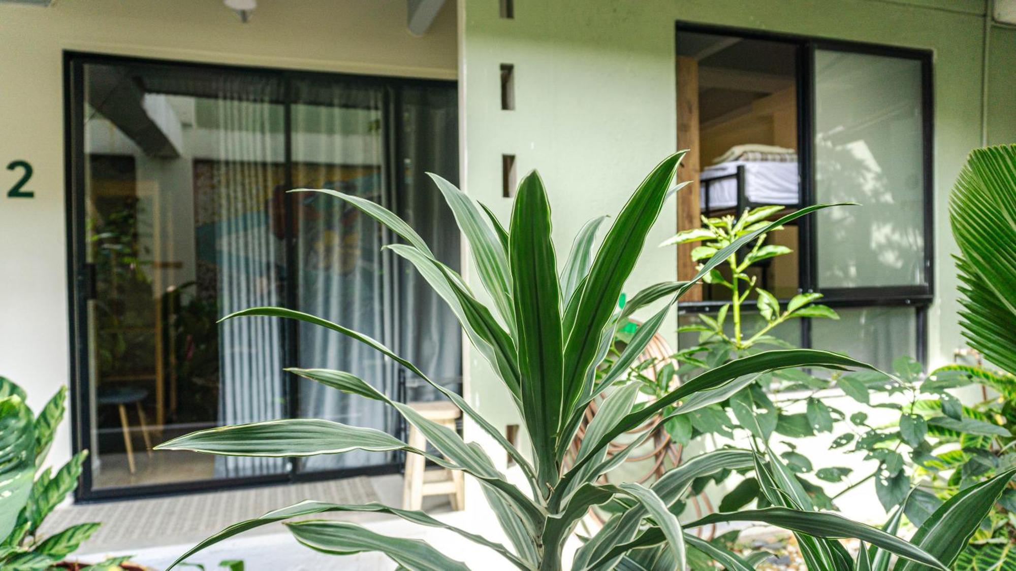 Selva House Bed & Breakfast Medellin Exterior photo
